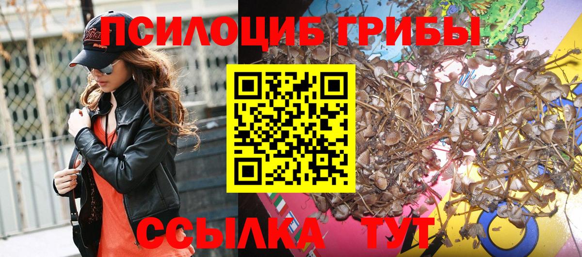 Галлюциногенные грибы MAGIC MUSHROOMS Северобайкальск