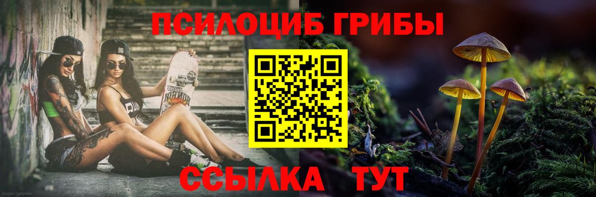 Псилоцибиновые грибы прущие грибы  Вход с VPN  Северобайкальск 